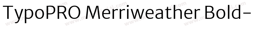 TypoPRO Merriweather Bold字体转换
